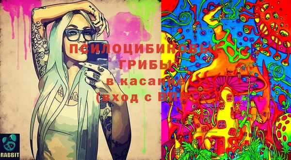 мет Бородино