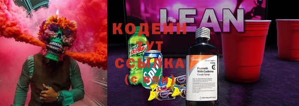мет Бородино