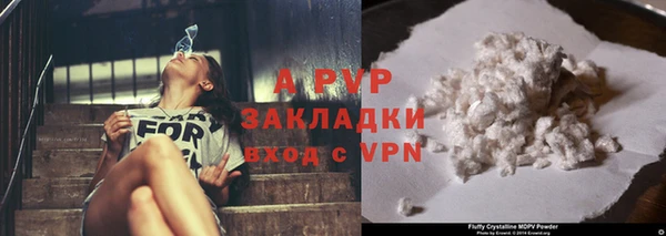 стаф Бугульма
