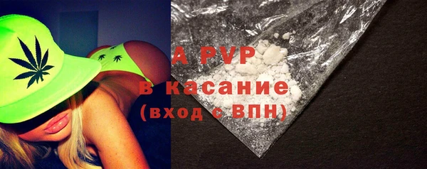 стаф Бугульма
