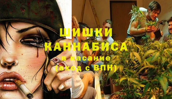мет Бородино