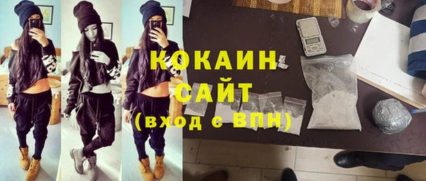 мет Бородино