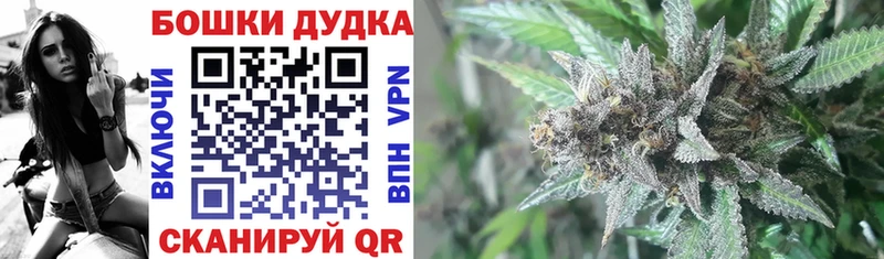 хочу наркоту  Череповец  Канабис гибрид 